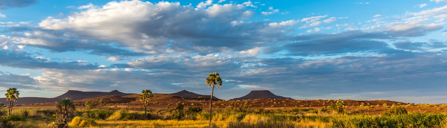 Il paesaggio intorno a Palmwag in Namibia