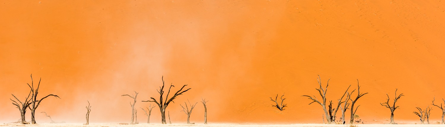 il famoso deadvlei con gli alberi morte nel deserto del namib