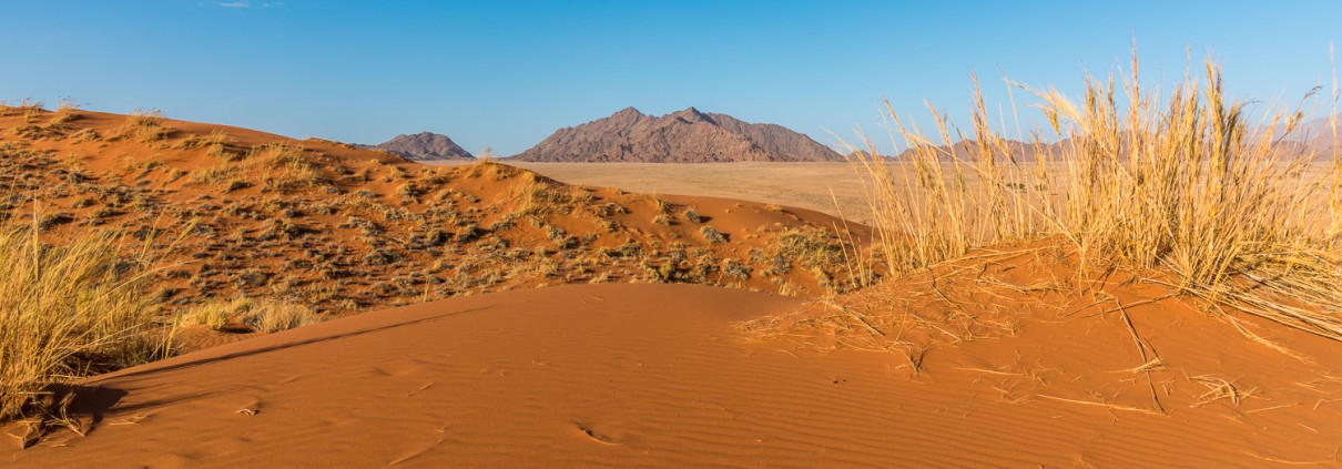 La duna Elim nel deserto del Namib vicino a Sesriem
