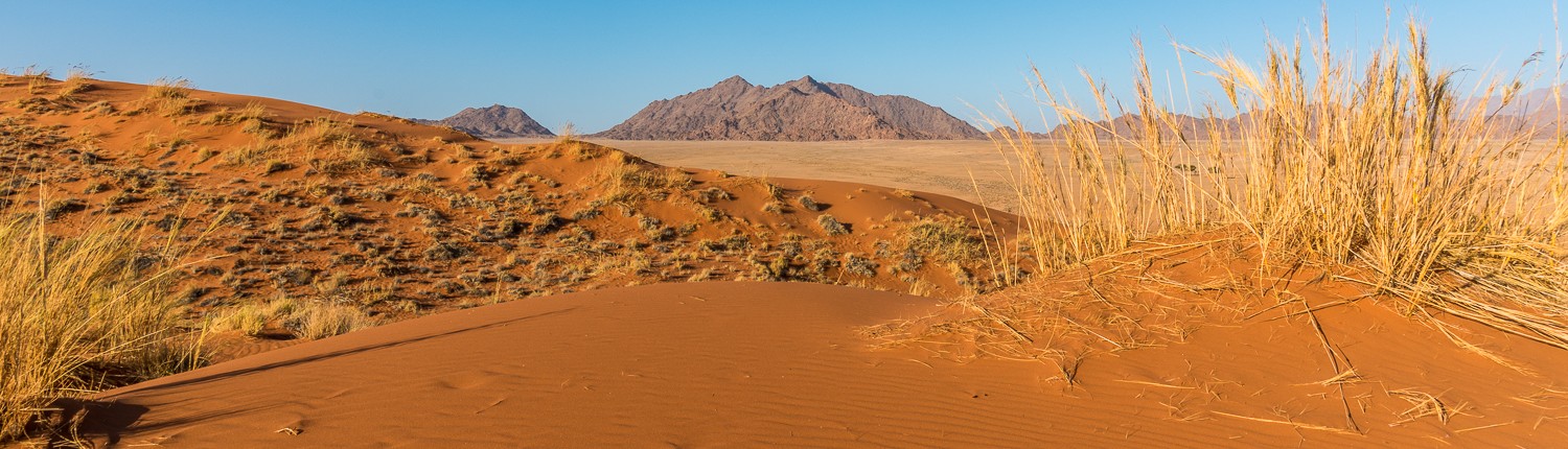 La duna Elim nel deserto del Namib vicino a Sesriem