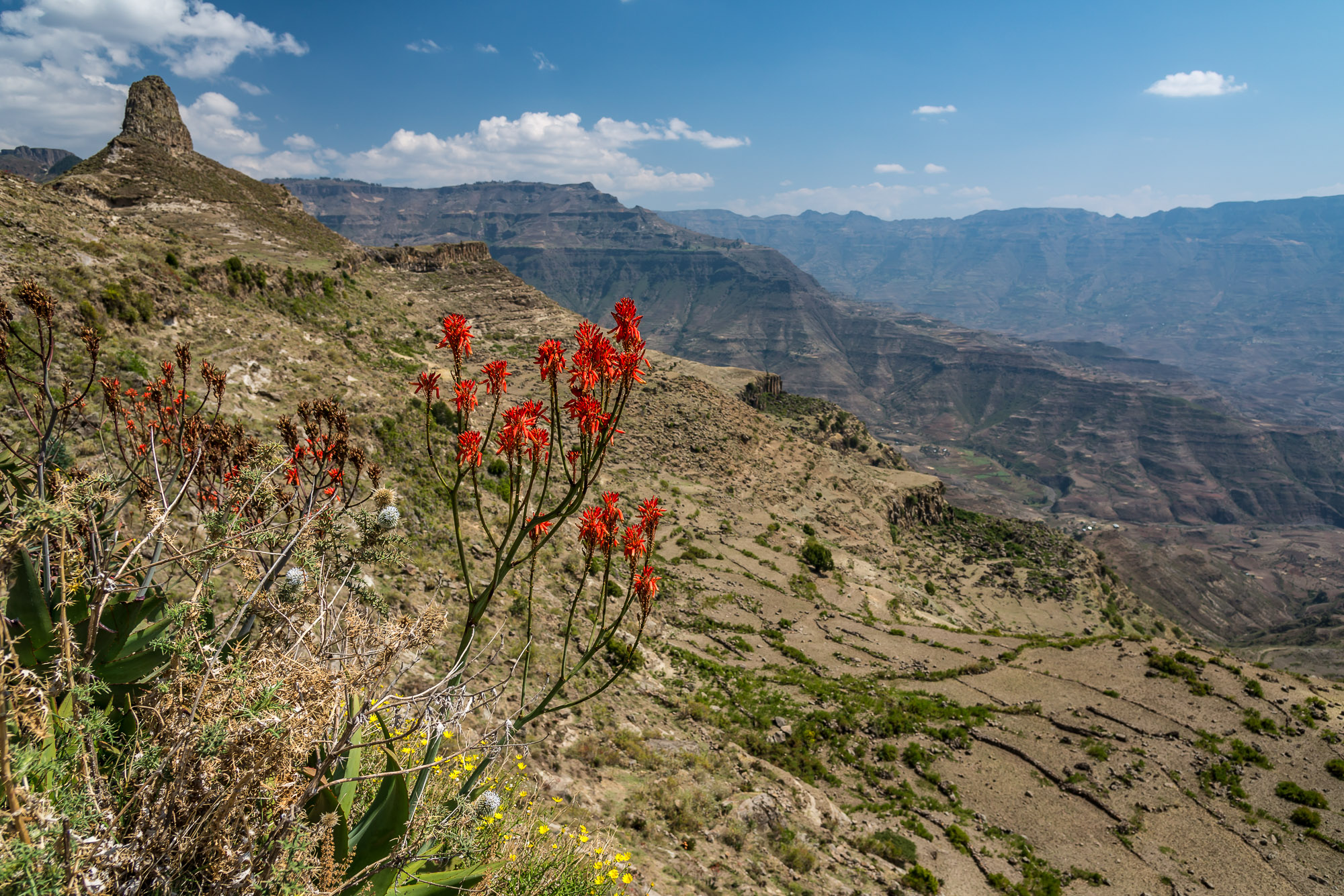 Ethiopia, panorama in the highlands