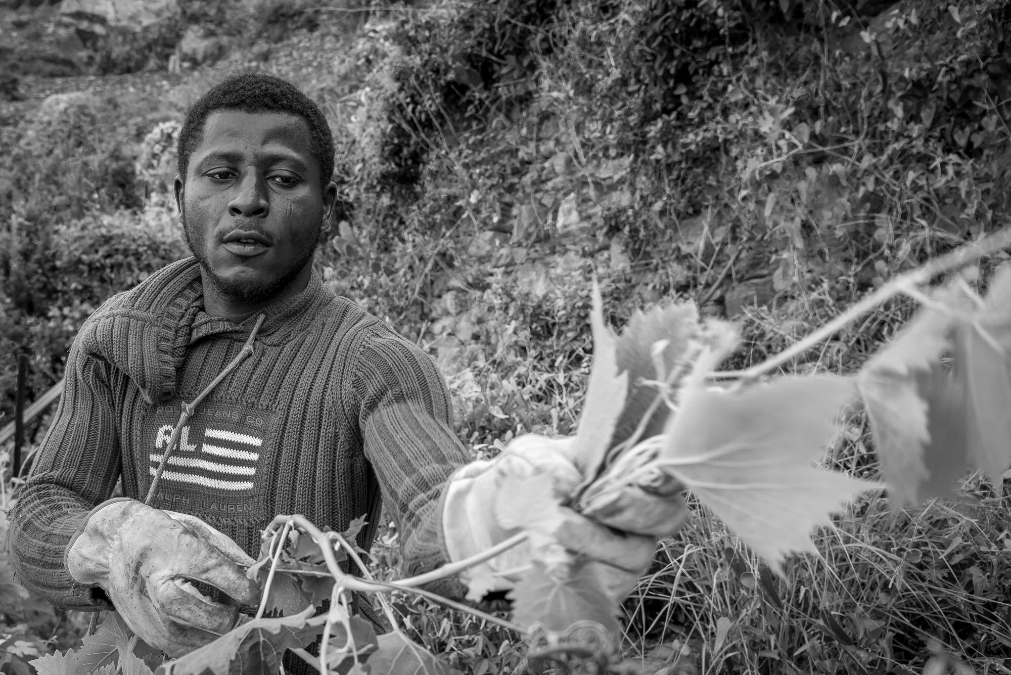 Dokumentation des Integrationsprojekts von afrikanischen Flüchtlingen in den Cinque Terre