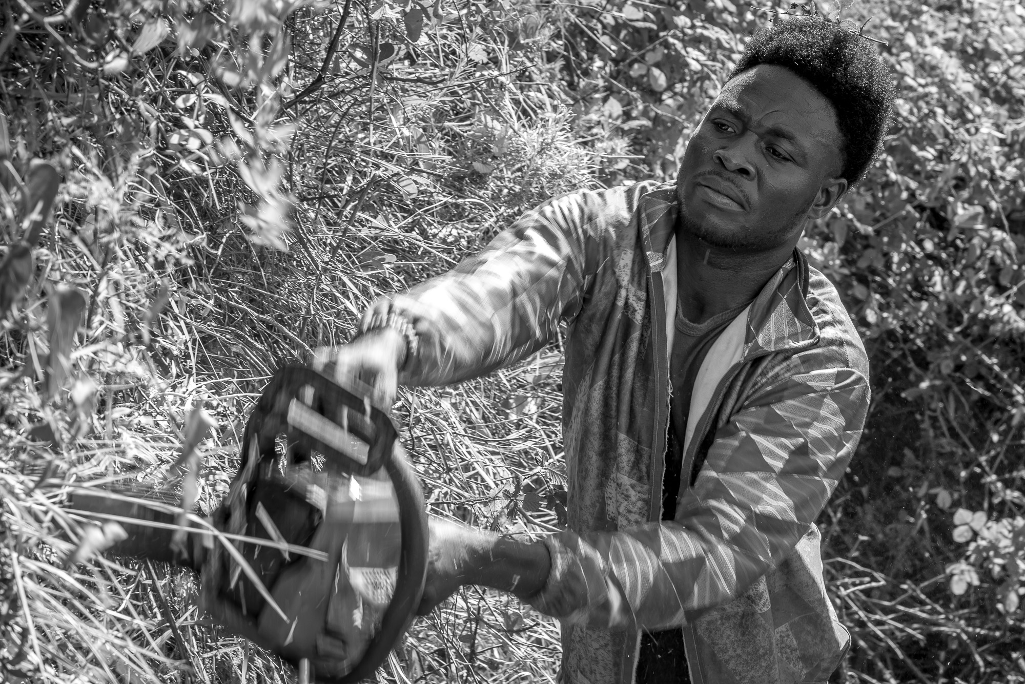 Dokumentation des Integrationsprojekts von afrikanischen Flüchtlingen in den Cinque Terre
