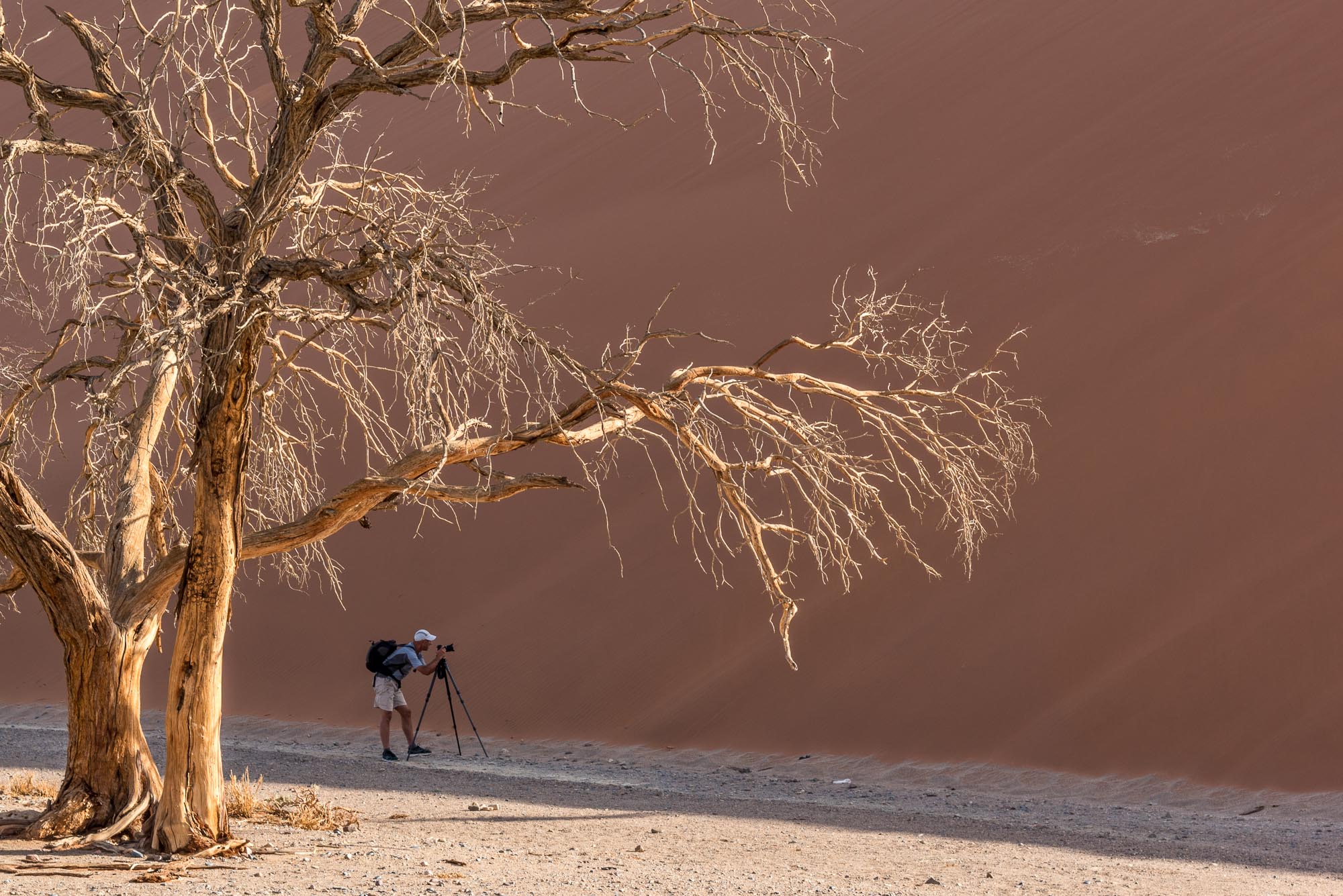 photographing dune 45 in the namib