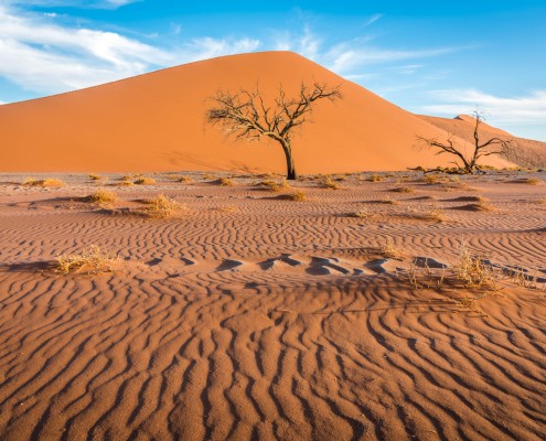 La duna 45 vicino al sossusvlei in namibia