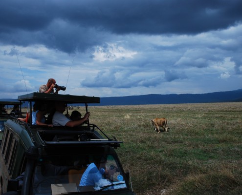 Fotoreise im Ngorongoro-Krater Tansania