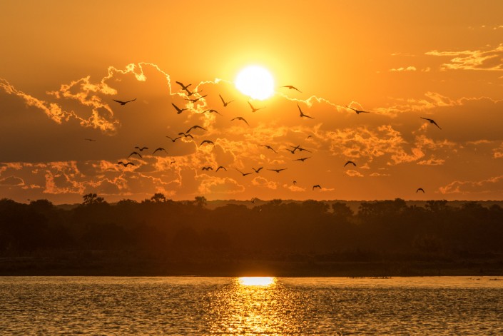 sunset on the Zambezi river