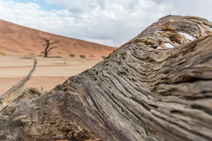 the death vlei, Namib desert