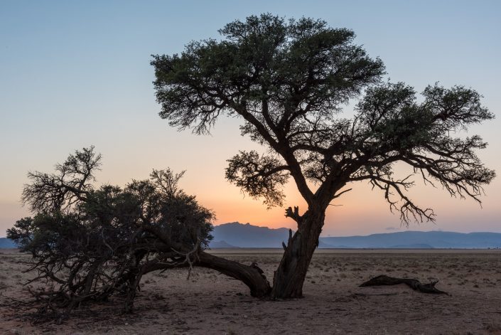 sunrise in Sossusvlei, Namibia