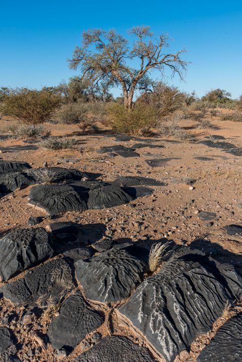 un paesaggio nel sud della Namibia con i sassi pelle d'elefante