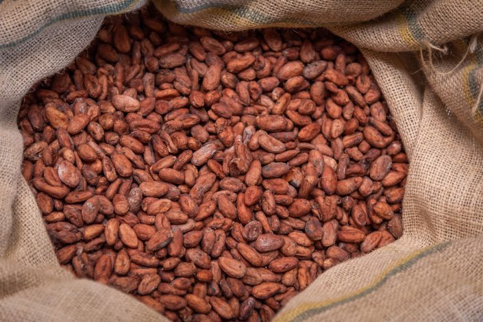 cocoa beans principe island